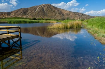 A menos de una hora de Santiago: Conoce este bello humedal ideal para escapar del estrés de la ciudad