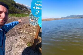 Escapa del estrés de la ciudad en el Humedal de Batuco: El parque que está solamente a una hora de Santiago