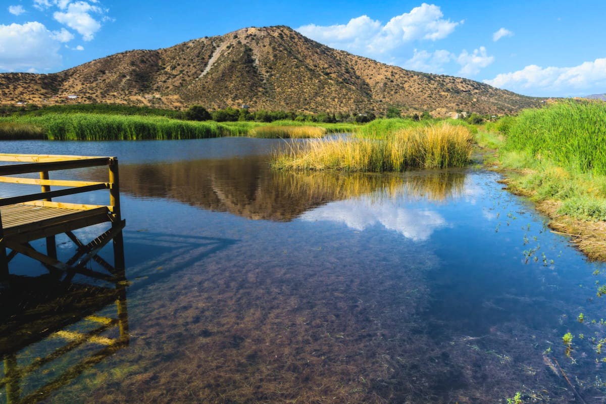 Uno de los santuarios más bellos para recorrer dentro de la Región Metropolitana. Créditos: Ladera Sur.