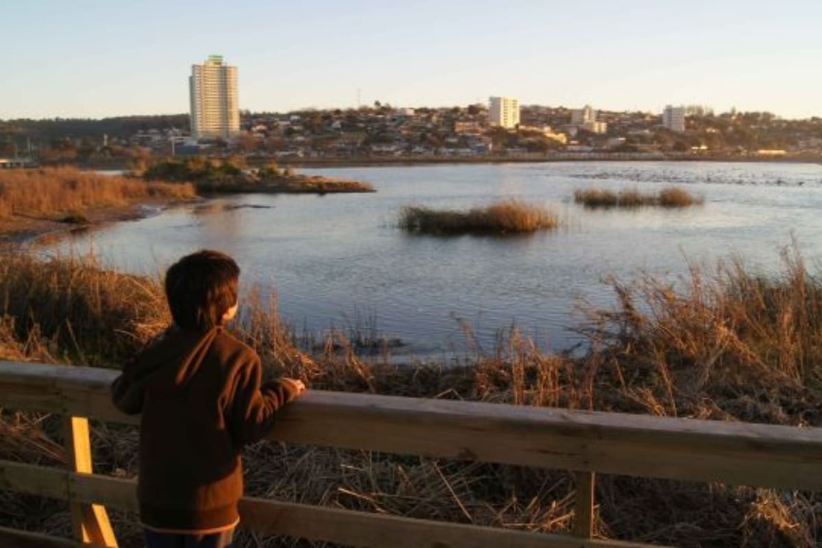 Este recinto natural fue inaugurado en el año 2007. Foto: Universidad de Playa Ancha.