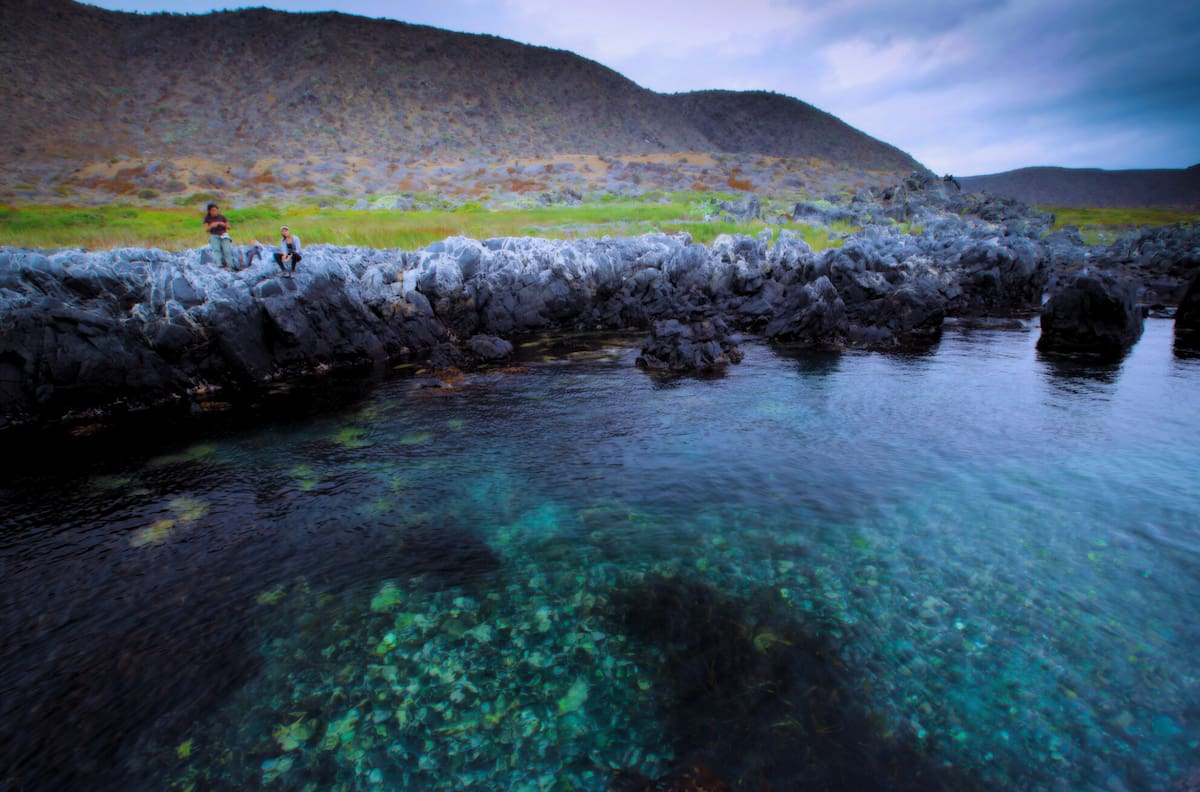 Humedal Desembocadura del Río Limarí: Un entorno turístico cerca de Coquimbo que no te puedes perder