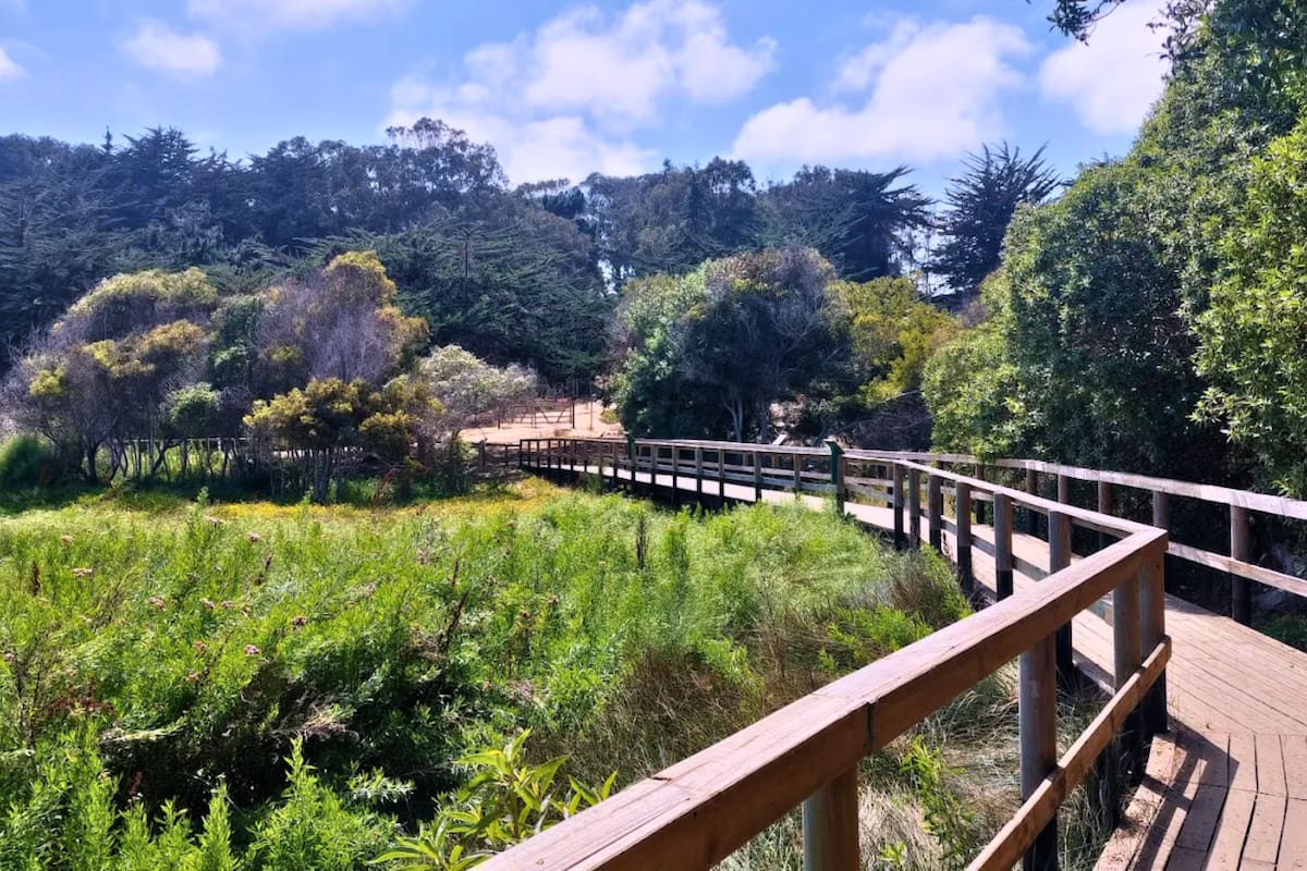 Un panorama que debes visitar dentro de la Región de Valparaíso. Créditos: Google Maps.