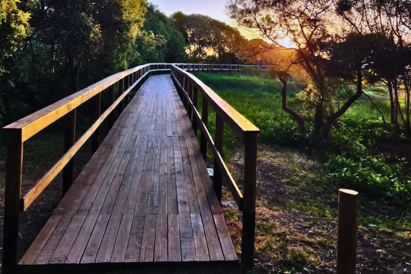Un lugar que debes recorrer en Isla Negra. Créditos: Maps.com.