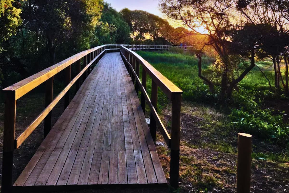 Un lugar que debes recorrer en Isla Negra. Créditos: Maps.com.