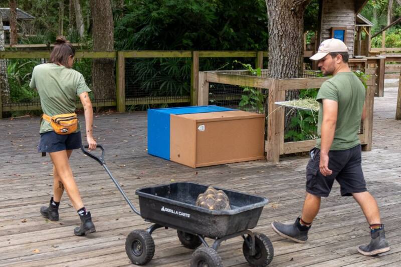 Zoológicos ejecutan medidas de prevención para proteger a los animales.