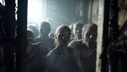 Esta es la ciudad de Chile con mayor probabilidad de sobrevivir a un apocalipsis zombie, según la IA