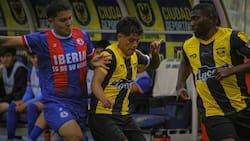 Los 3 tradicionales clubes que están a un solo paso de volver al fútbol chileno para 2026