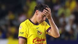 Las razones que diluyeron el posible regreso de Igor Lichnovsky a la U