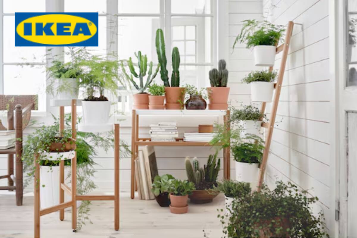 Conoce los mejores artículos para tu jardín.