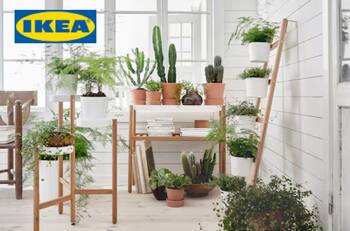 15 productos de jardín y espacios exteriores por menos de $29.990 en IKEA