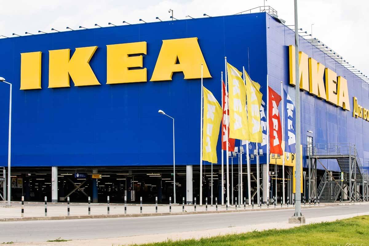 Conoce cuáles son los productos en oferta.
