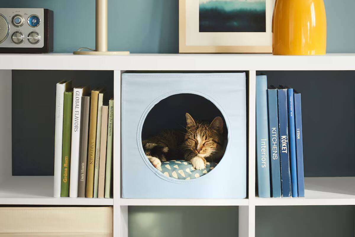 El refugio perfecto para tu mascota.