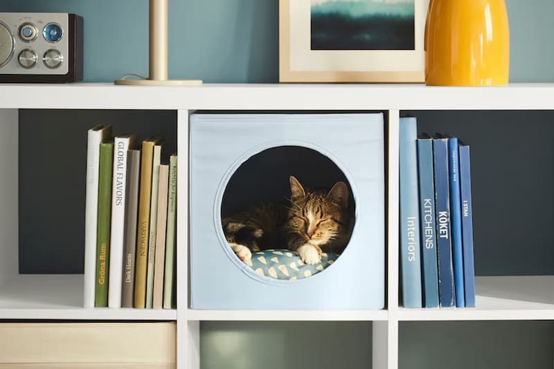 El refugio perfecto para tu mascota.