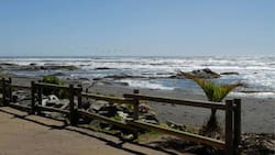 Visité Licantén y Vichuquén y estos son los mejores panoramas para realizar si viajas durante el fin de semana largo