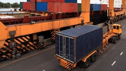 Gigantesca empresa de tradicional producto argentino apuesta con todo por Chile: se exportan 4 millones de kilos