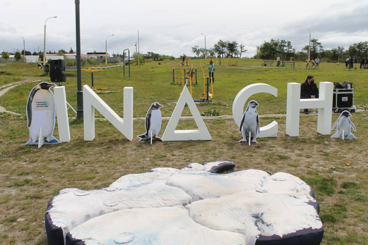 Revisa los trabajos que tiene disponibles el Instituto Antártico Chileno.