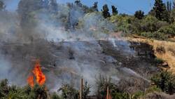 Incendio en Cerro San Cristóbal: Bomberos combaten siniestro que ocurre a metros de viviendas