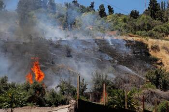 Incendio en Cerro San Cristóbal: Bomberos combaten siniestro que ocurre a metros de viviendas
