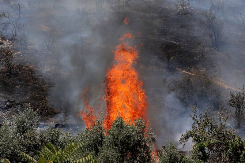 El siniestro afecta una parte de Cerro San Cristóbal.