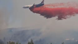 VIDEO | Incendio en Collipulli: SENAPRED ordena evacuar TRES sectores en Región de La Araucanía