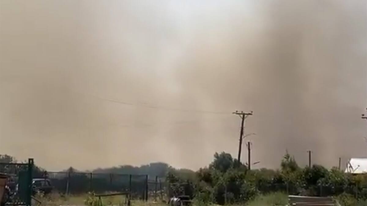 VIDEO | Así se ve el incendio forestal en Valparaíso: hay Alerta Roja y llamado de evacuación