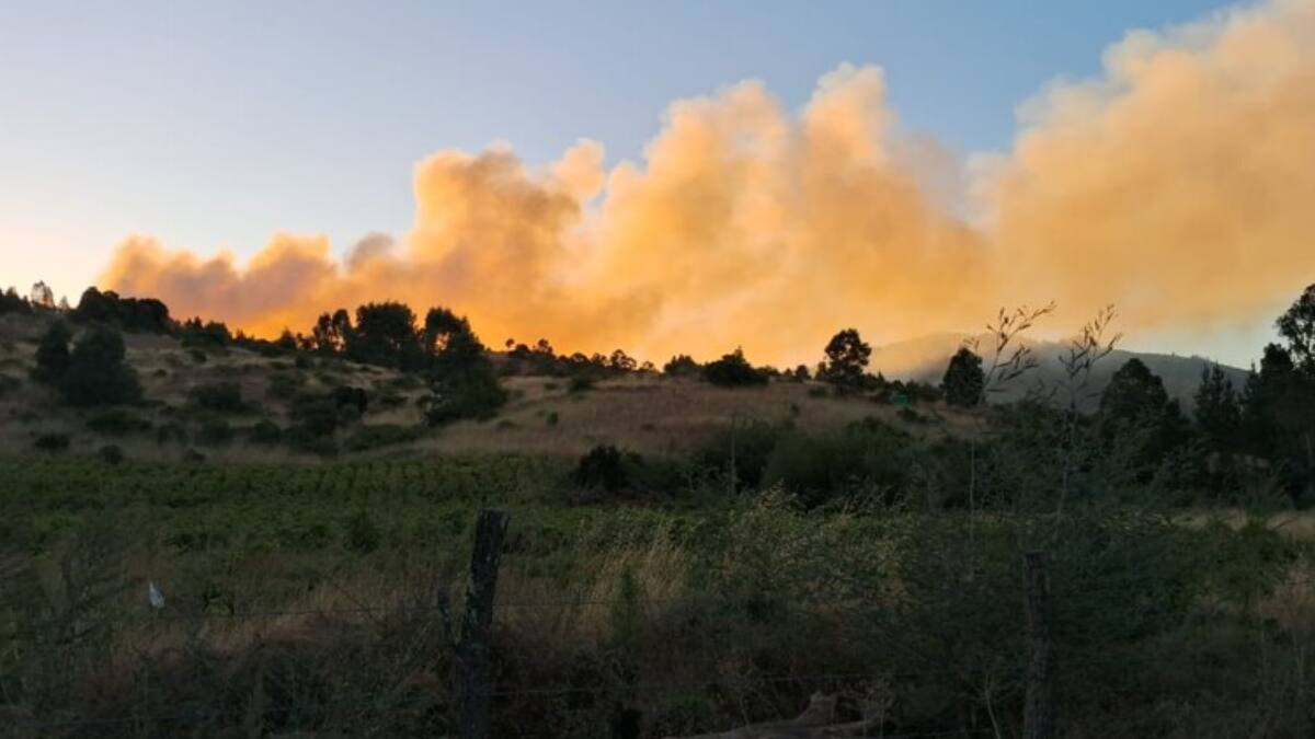 VIDEO | Declaran alerta roja por incendio en Lampa: hay peligro de propagación a viviendas