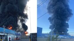 VIDEO|Así se ve el voraz incendio que afecta a bodegas en Paine