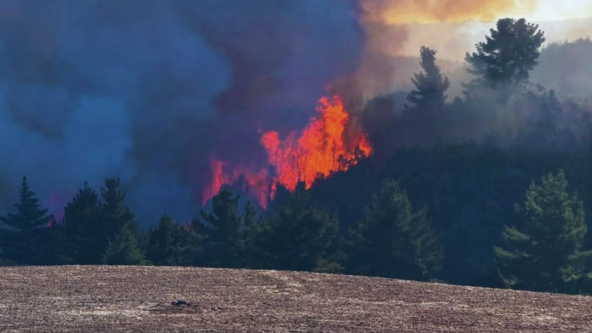 VIDEO | Alerta Amarilla en Pichilemu por incendio forestal: fuego amenaza con consumir varias hectáreas