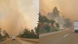 VIDEO | Alerta Roja por incendio forestal en Quilpué: solicitan evacuar cuatro sectores