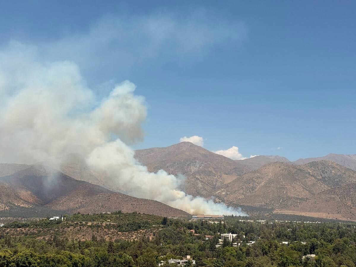 Cerca del Claro Arena