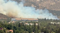 IMÁGENES | Muy cerca del Claro Arena: gran incendio forestal afecta a San Carlos de Apoquindo