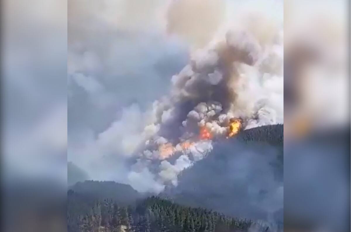 VIDEO | Se reactiva incendio en Santa Juana: Piden a los ciudadanos evacuar