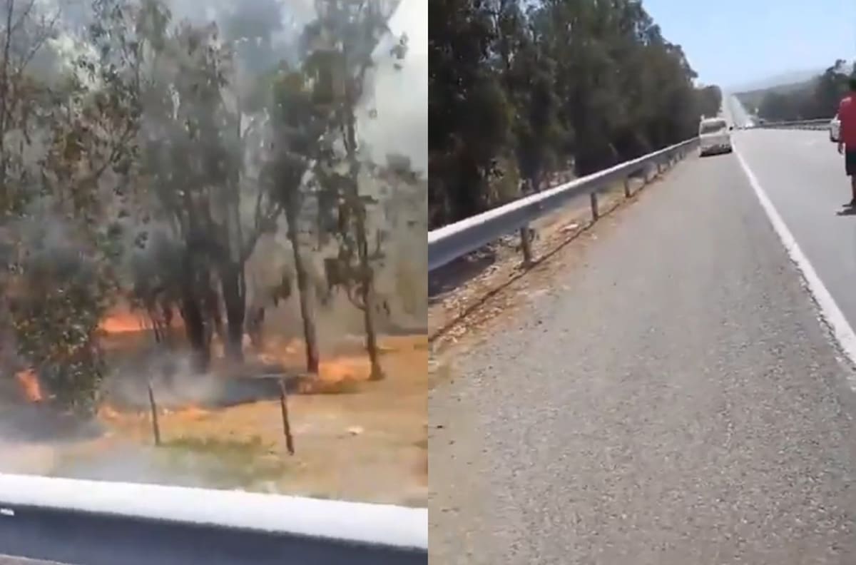 VIDEO | SENAPRED alerta por incendios forestales en sectores de Valparaíso y O’Higgins