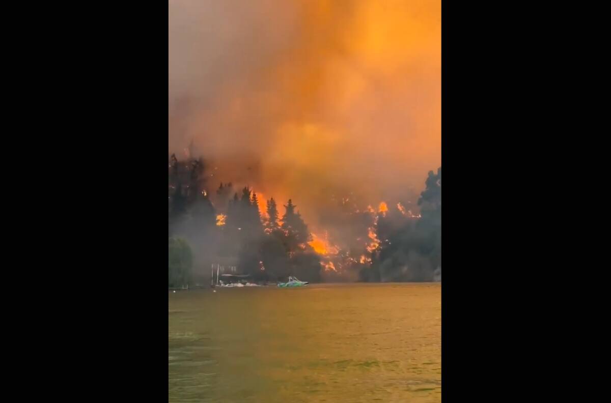 VIDEO | Continúa alerta roja por incendio en Litueche: Ya hay más de 110 hectáreas afectadas