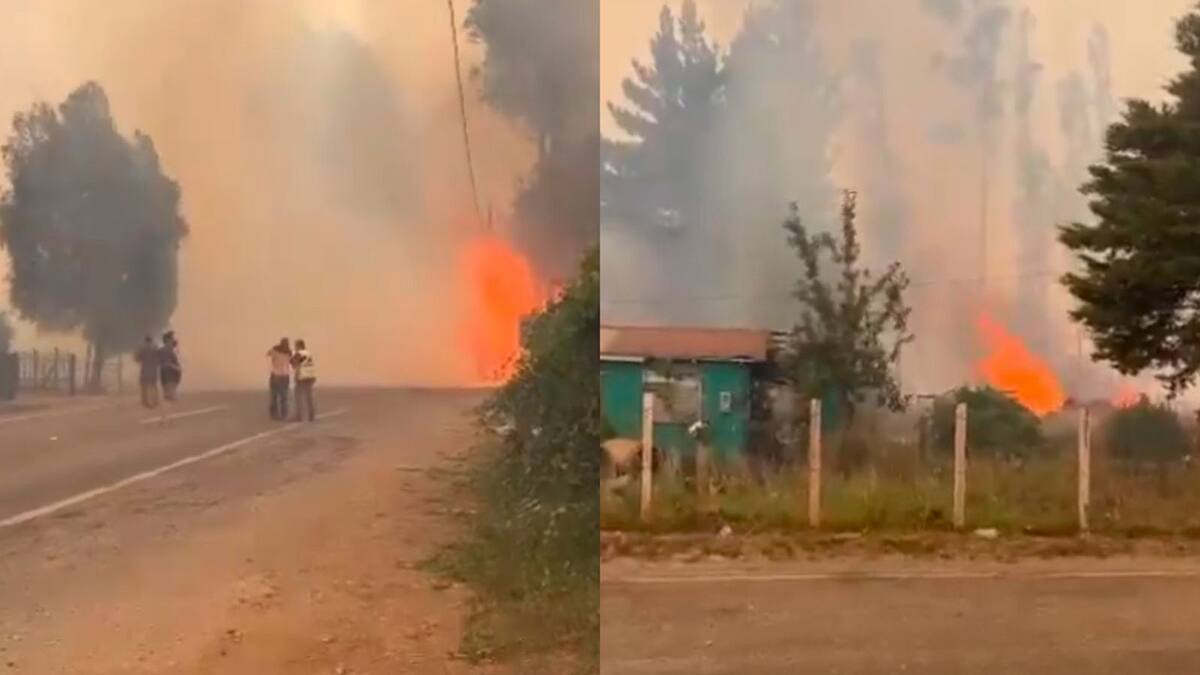VIDEO | El incendio a metros de las casas: SENAPRED ordenó evacuación en este sector de La Araucanía