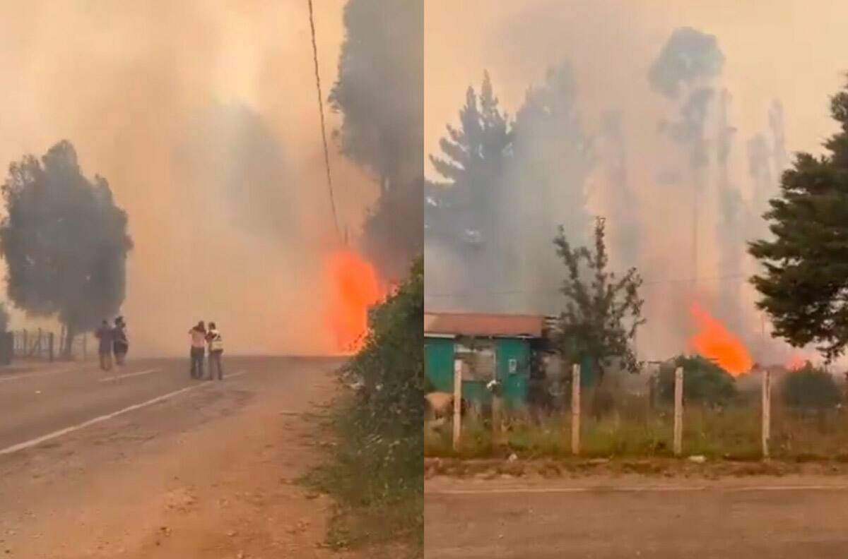 VIDEO | El incendio a metros de las casas: SENAPRED ordenó evacuación en este sector de La Araucanía