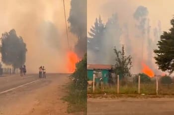 VIDEO | El incendio a metros de las casas: SENAPRED ordenó evacuación en este sector de La Araucanía