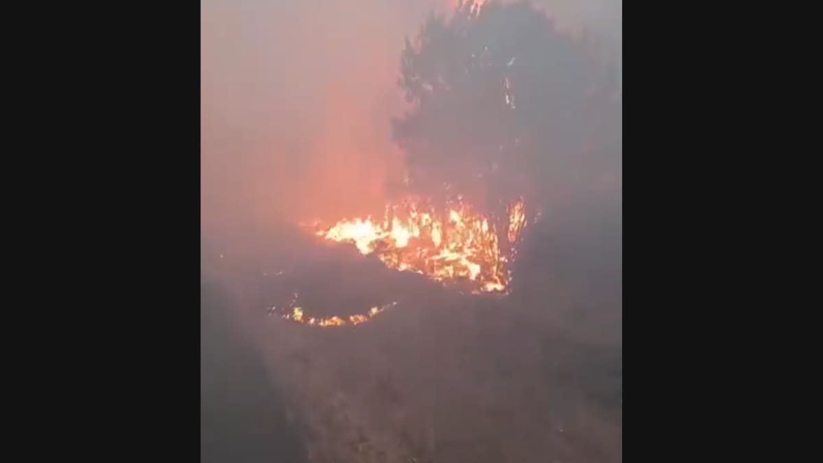 VIDEO | Incendio en Ruta 5 deja al menos 2 vehículos quemados