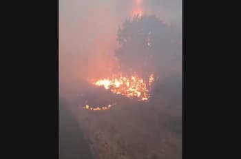 VIDEO | Incendio en Ruta 5 deja al menos 2 vehículos quemados