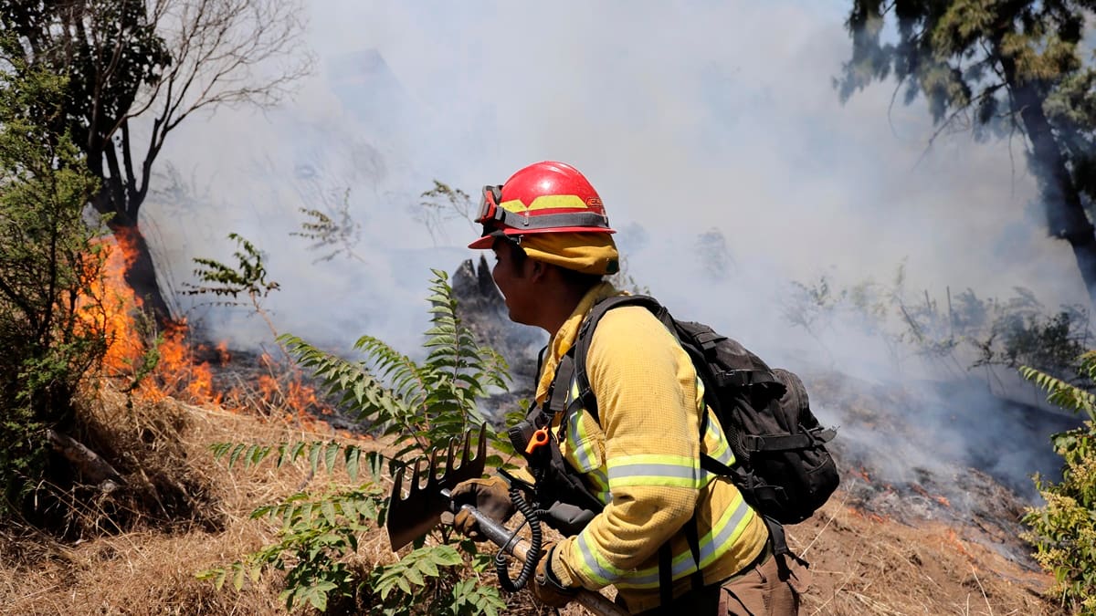 VIDEO | SENAPRED emite alerta roja por incendio forestal en Peñaflor: hay 2.5 hectáreas afectadas