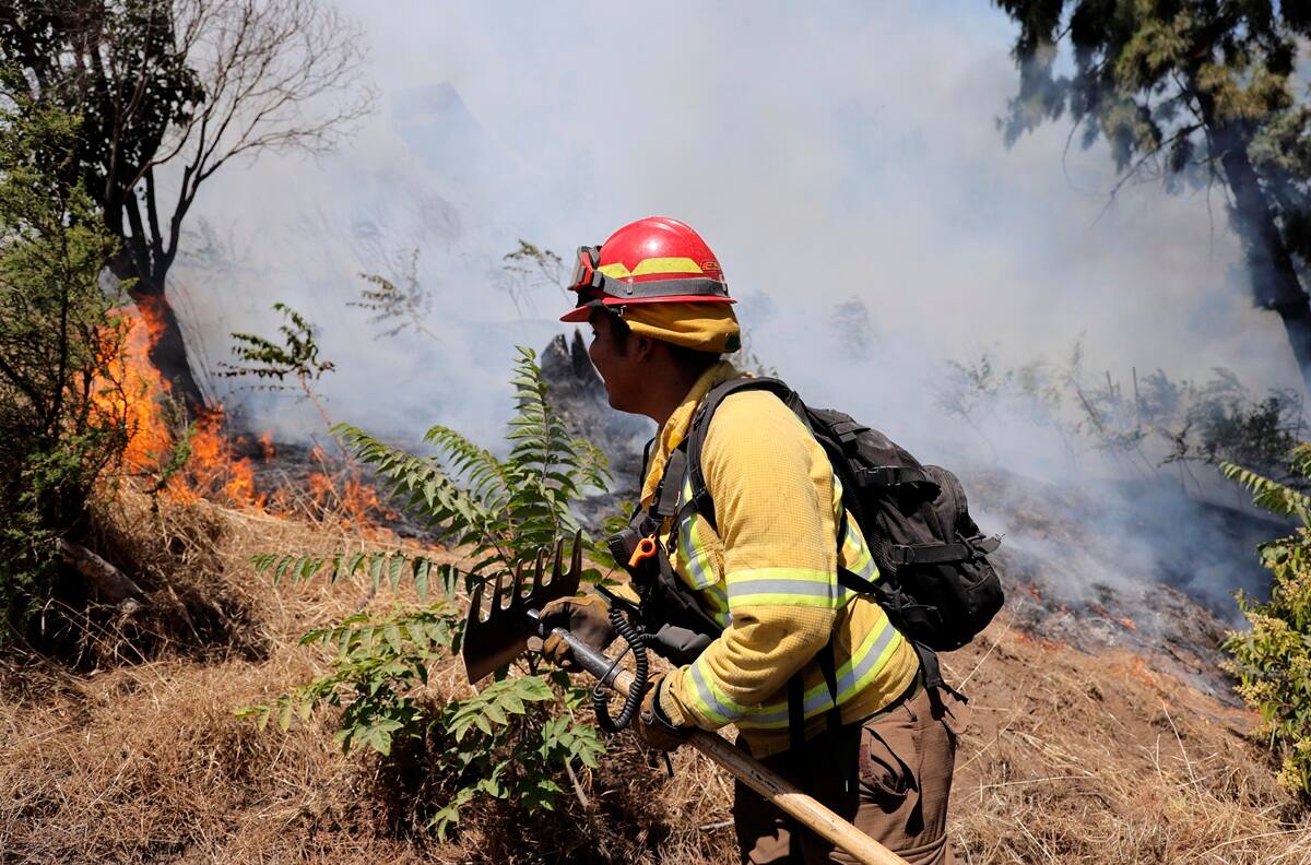 VIDEO | SENAPRED emite alerta roja por incendio forestal en Peñaflor: hay 2.5 hectáreas afectadas