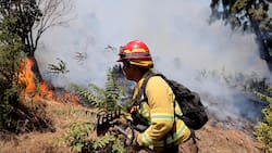 VIDEO | SENAPRED emite alerta roja por incendio forestal en Peñaflor: hay 2.5 hectáreas afectadas