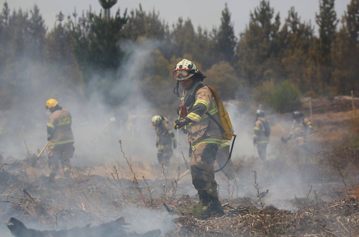 Incendios Forestales: Máquina agrícola en mal estado causó siniestro en sector de Panguipulli