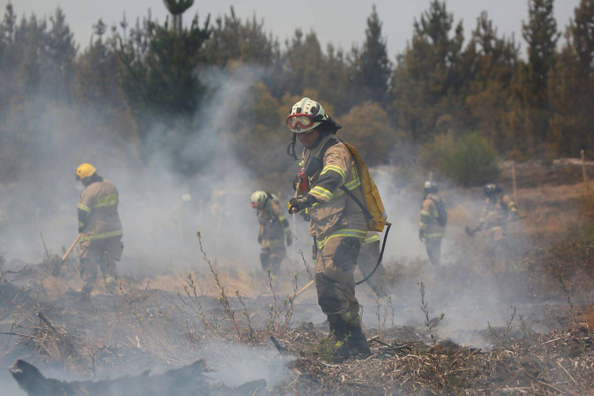 La emergencia se registró en el sector rural Los Tallos. Créditos. Referencial/ATON