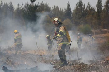 Incendios Forestales: Máquina agrícola en mal estado causó siniestro en sector de Panguipulli