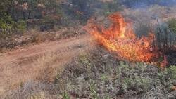 VIDEO | Decretan Alerta Roja en Peñaflor por incendio forestal cercano a viviendas