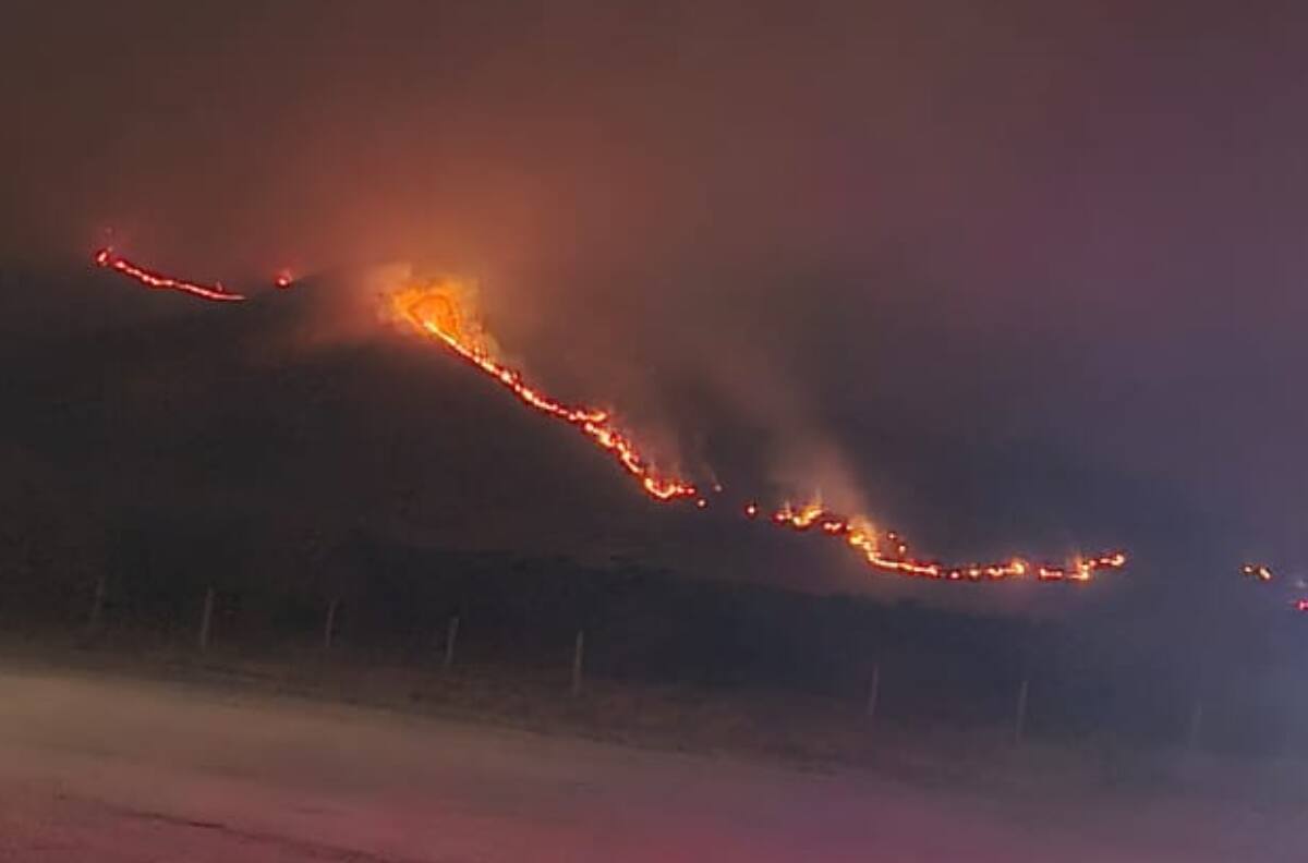 Incendio forestal consume más de 800 hectáreas y obliga a suspender clases en tres comunas de la RM