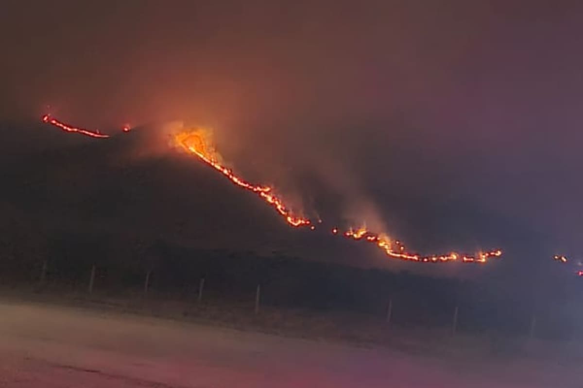Las llamas se desataron en una zona de pastizales secos en Santa Filomena.