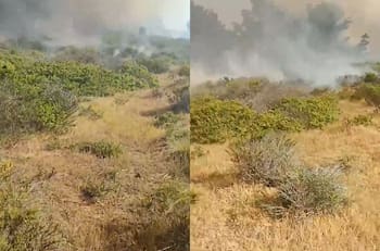 VIDEOS | SENAPRED emite alerta por incendio forestal en Valparaíso: piden evacuar tres sectores