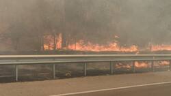 Incendio en Quilpué ya afectó 130 hectáreas: extienden área de evacuación
